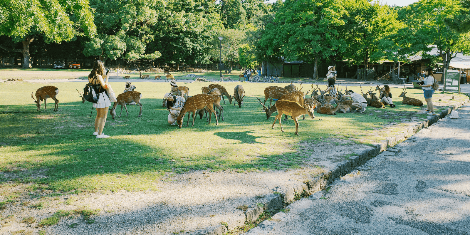 Nara