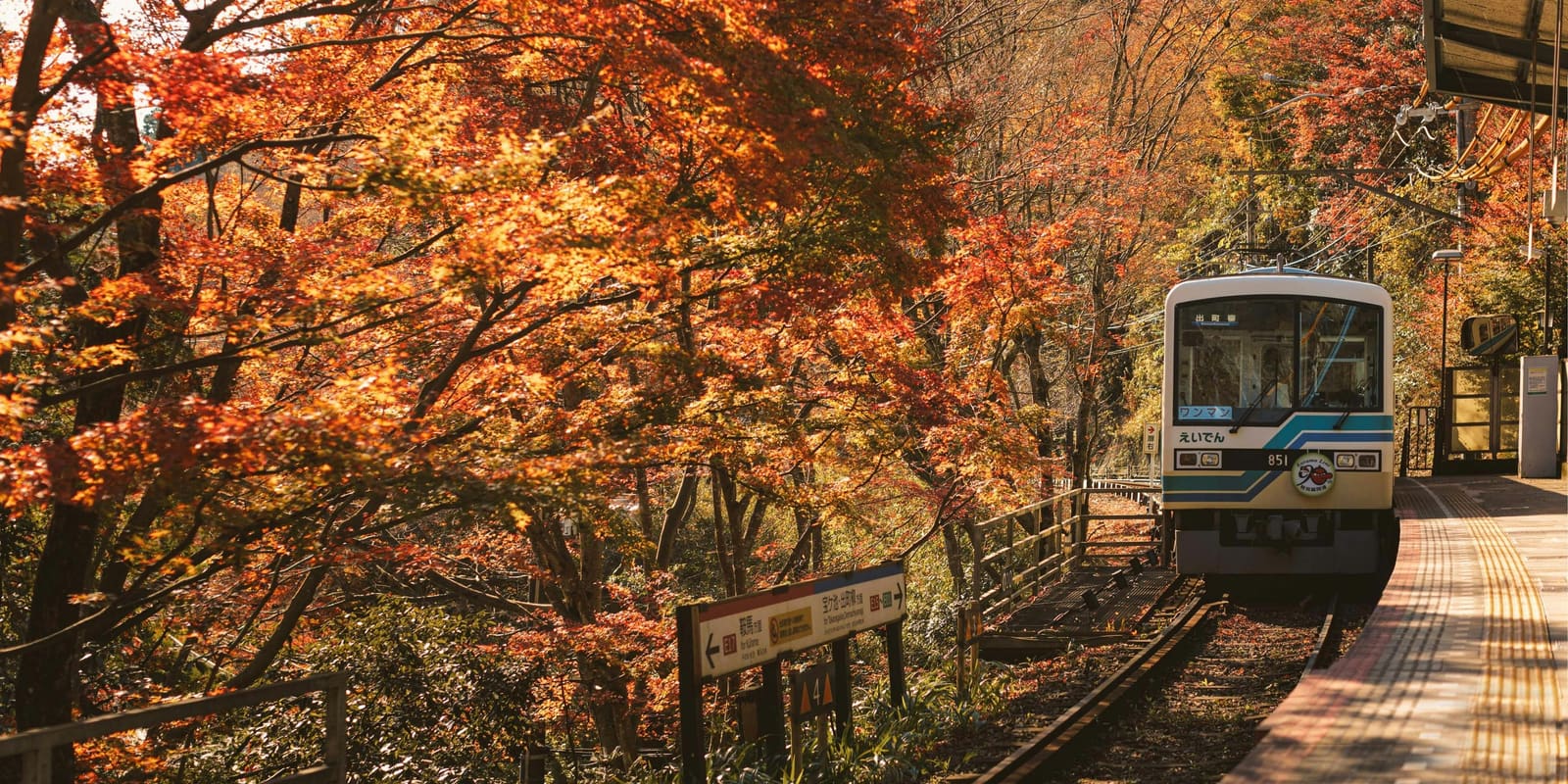 A small two-tone train with Eiden written in Japanese on its front waits at a station platform beside a slope of orange and red maple trees