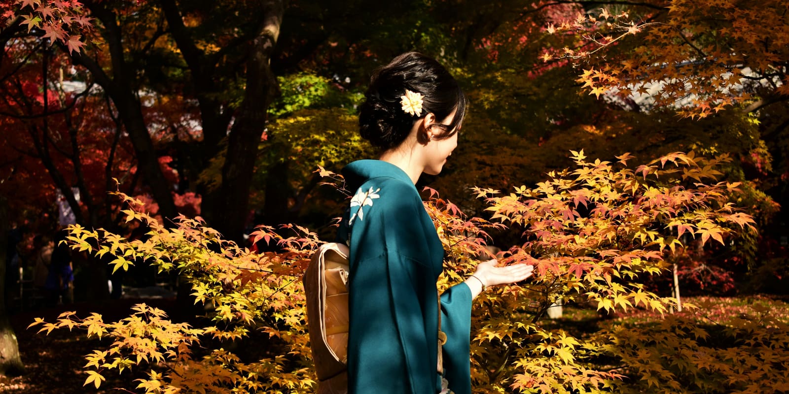 A woman in a teal kimono with a flower in her hair reaches toward backlit yellow and red maple leaves in a shaded garden