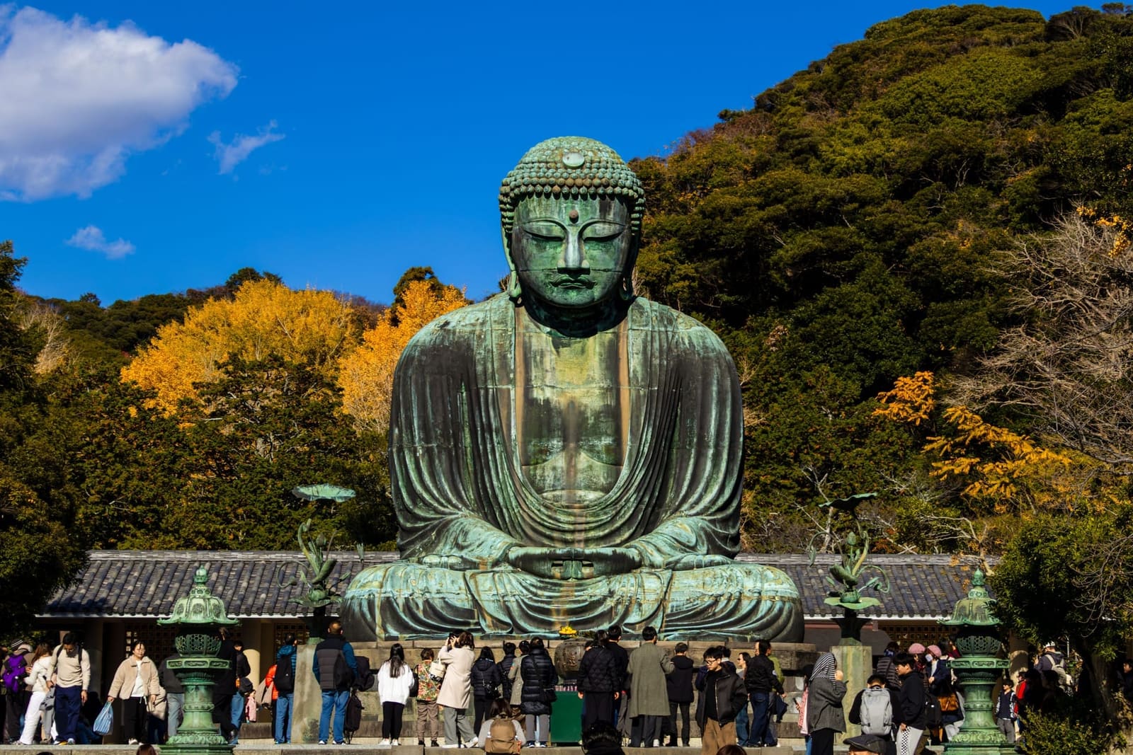 Front view of the Great Buddha of Kamakura in Kotoku-in's courtyard, with yellow autumn trees on the hill behind and visitors gathered below the statue