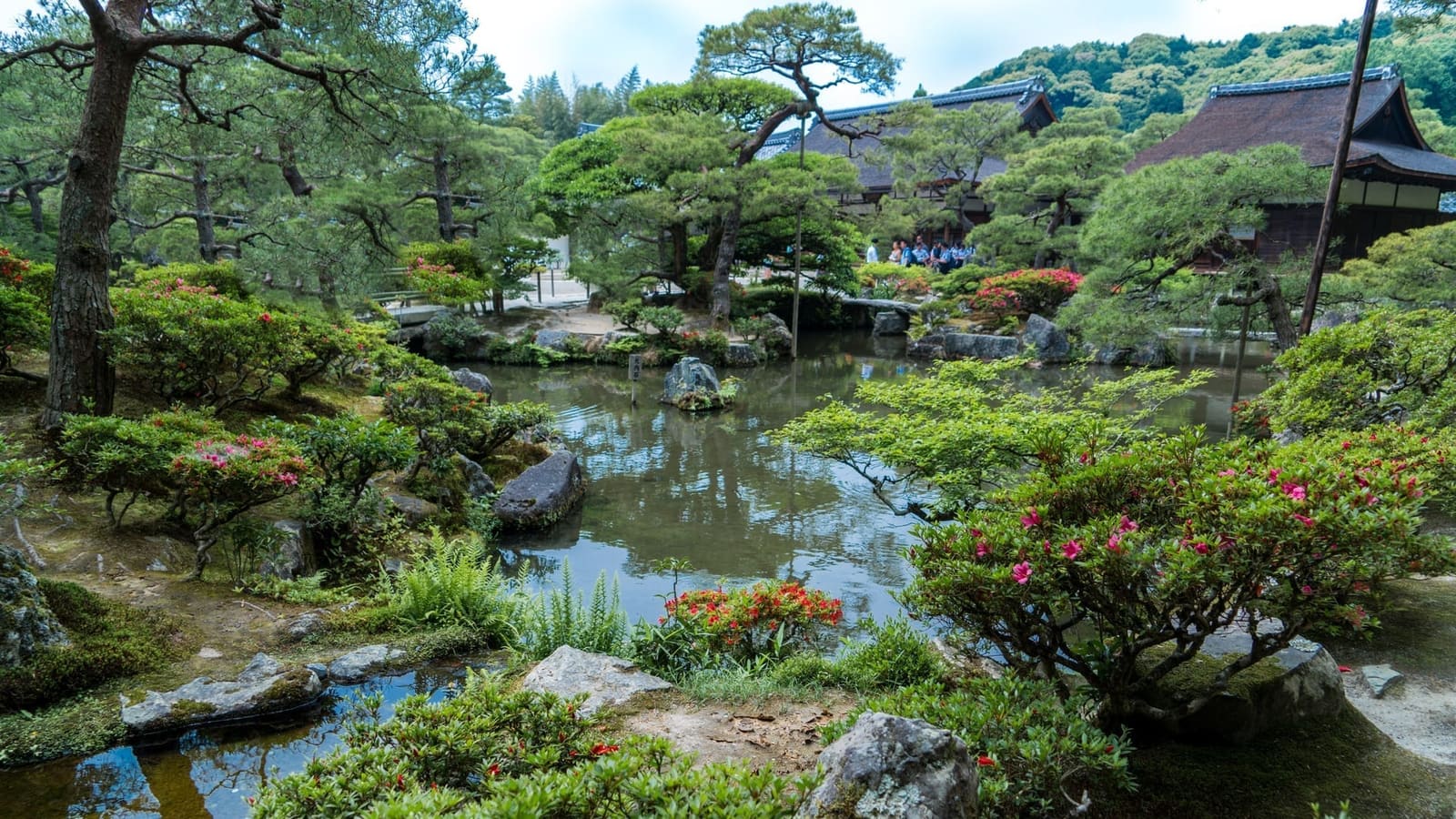 Pond, rocks, pines and flowering azaleas in the Ginkaku-ji garden, with the temple halls behind