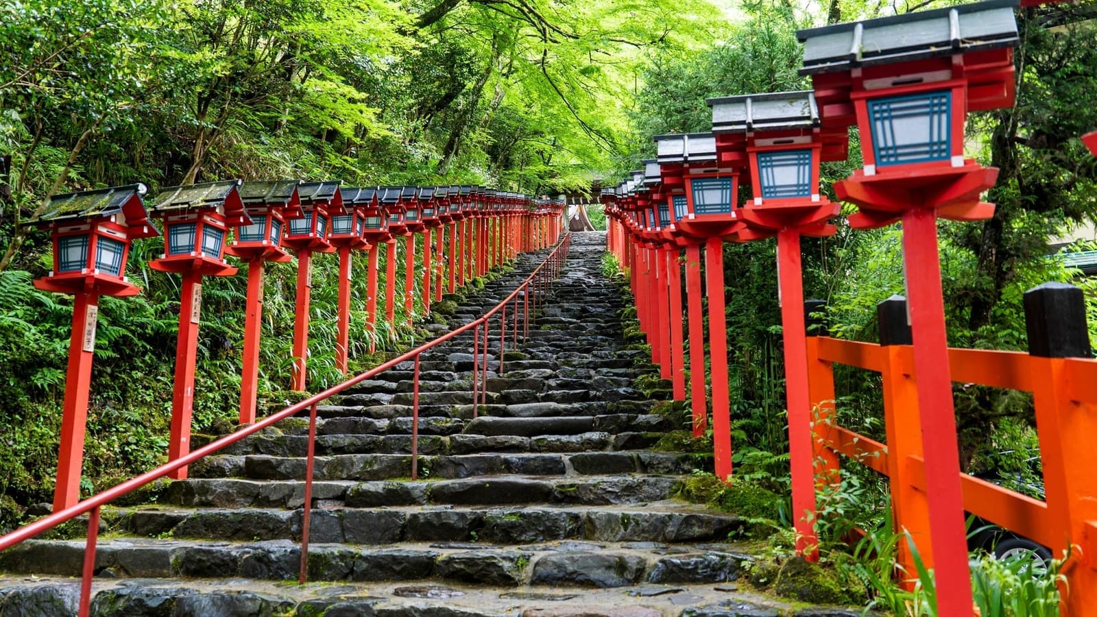 The stone steps up to Kifune Shrine's main hall, lined on both sides with red lanterns under green maples