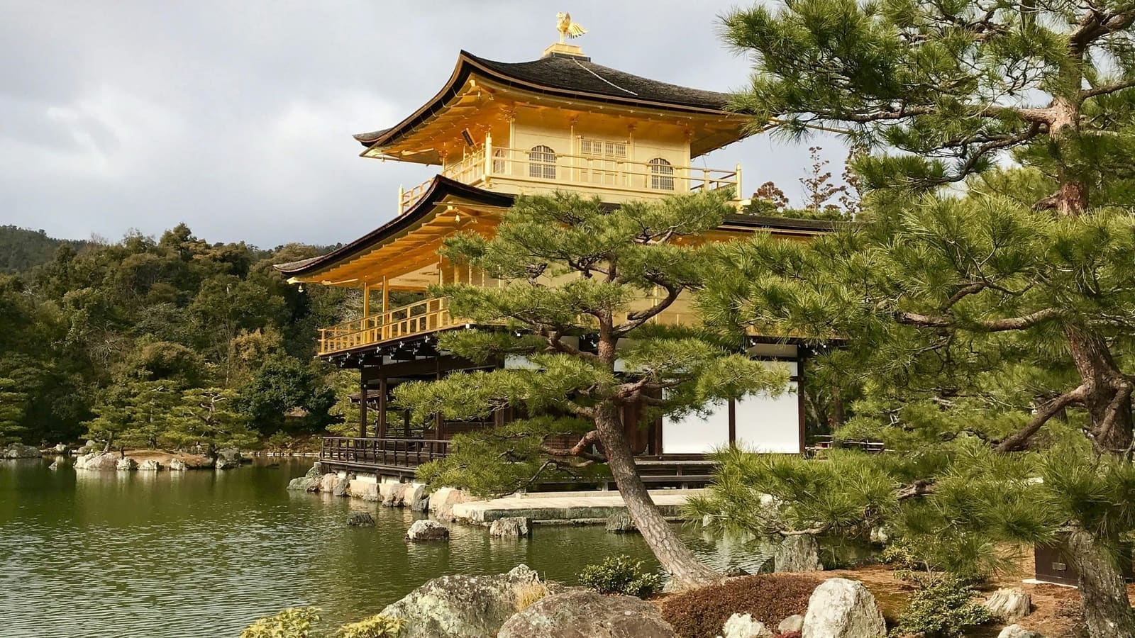 The Golden Pavilion beside Kyoko-chi pond, framed by pine branches in the foreground