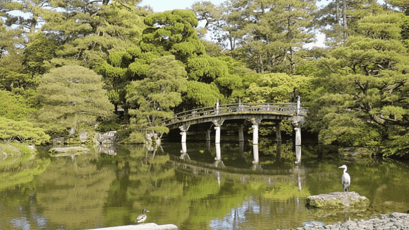 A pond garden with an arched bridge, pines and a heron standing on a rock