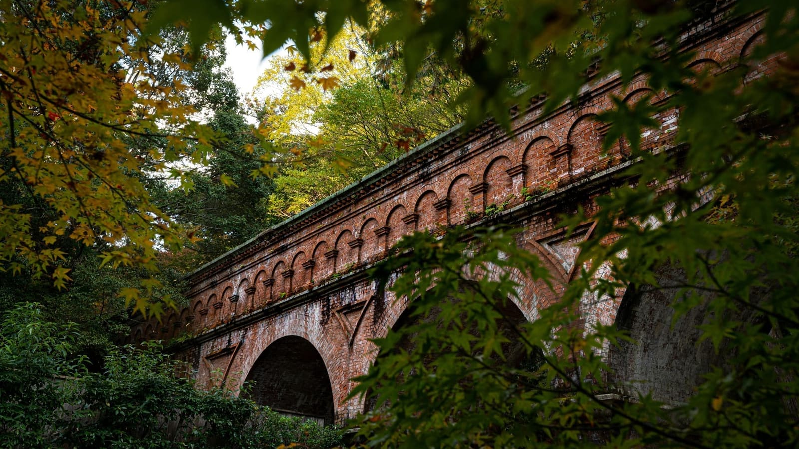 The red-brick arches of the Suirokaku aqueduct in Nanzen-ji's grounds, seen through maple leaves beginning to turn