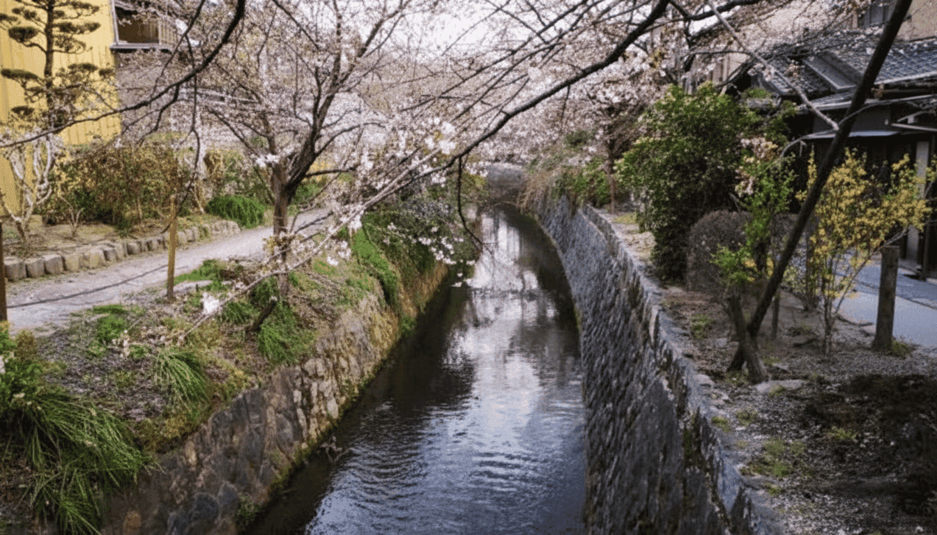 The stone-lined canal of the Philosopher's Path under early cherry blossom, with the path on the left
