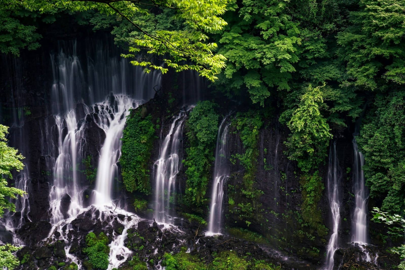Shiraito Falls, hundreds of thin streams of spring water falling from a moss-covered cliff in Fujinomiya