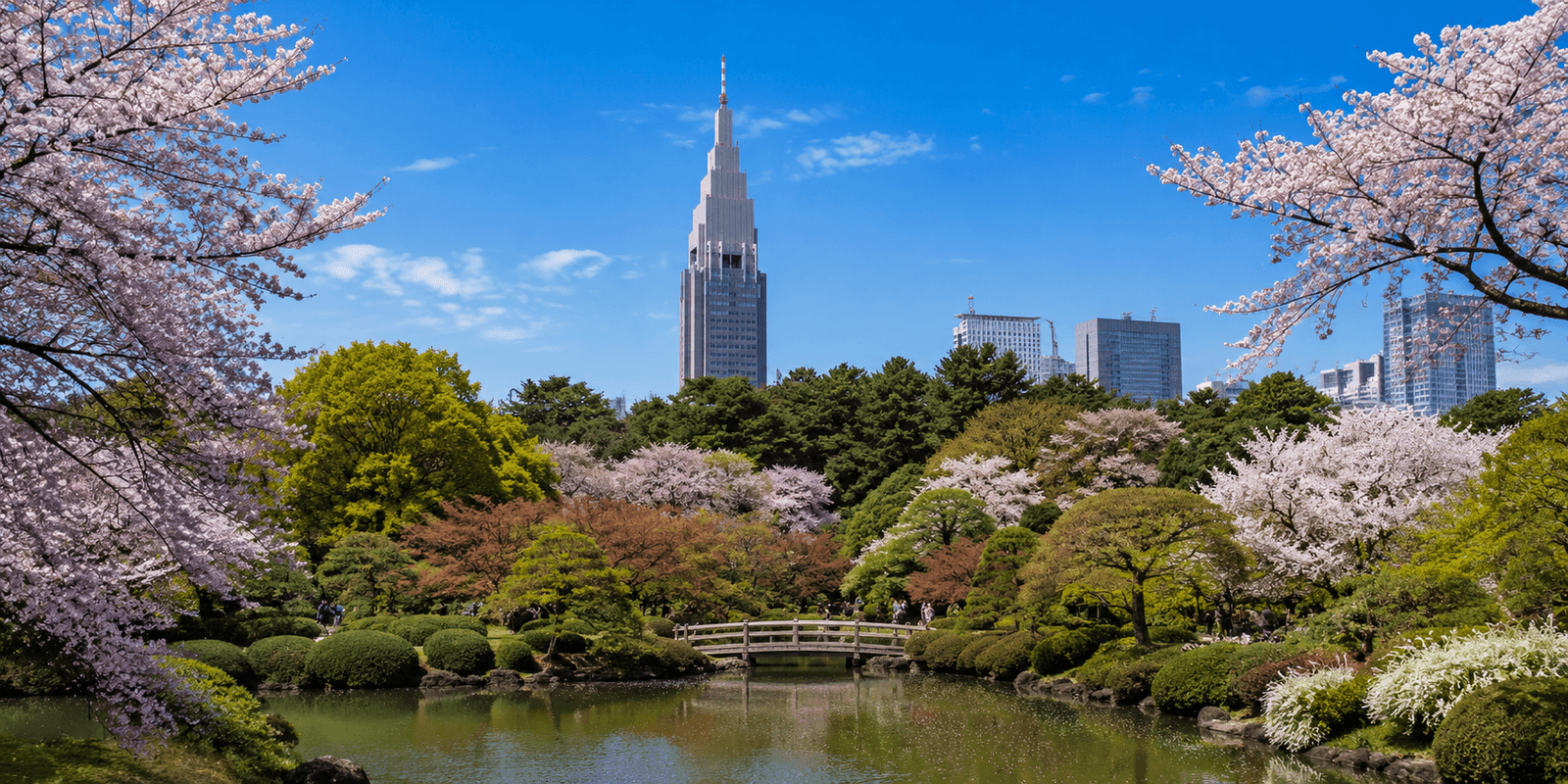 Shinjuku Gyoen National Garden - wide lawns, tree-lined pathways, and landscaped gardens in Shinjuku, Tokyo, Japan