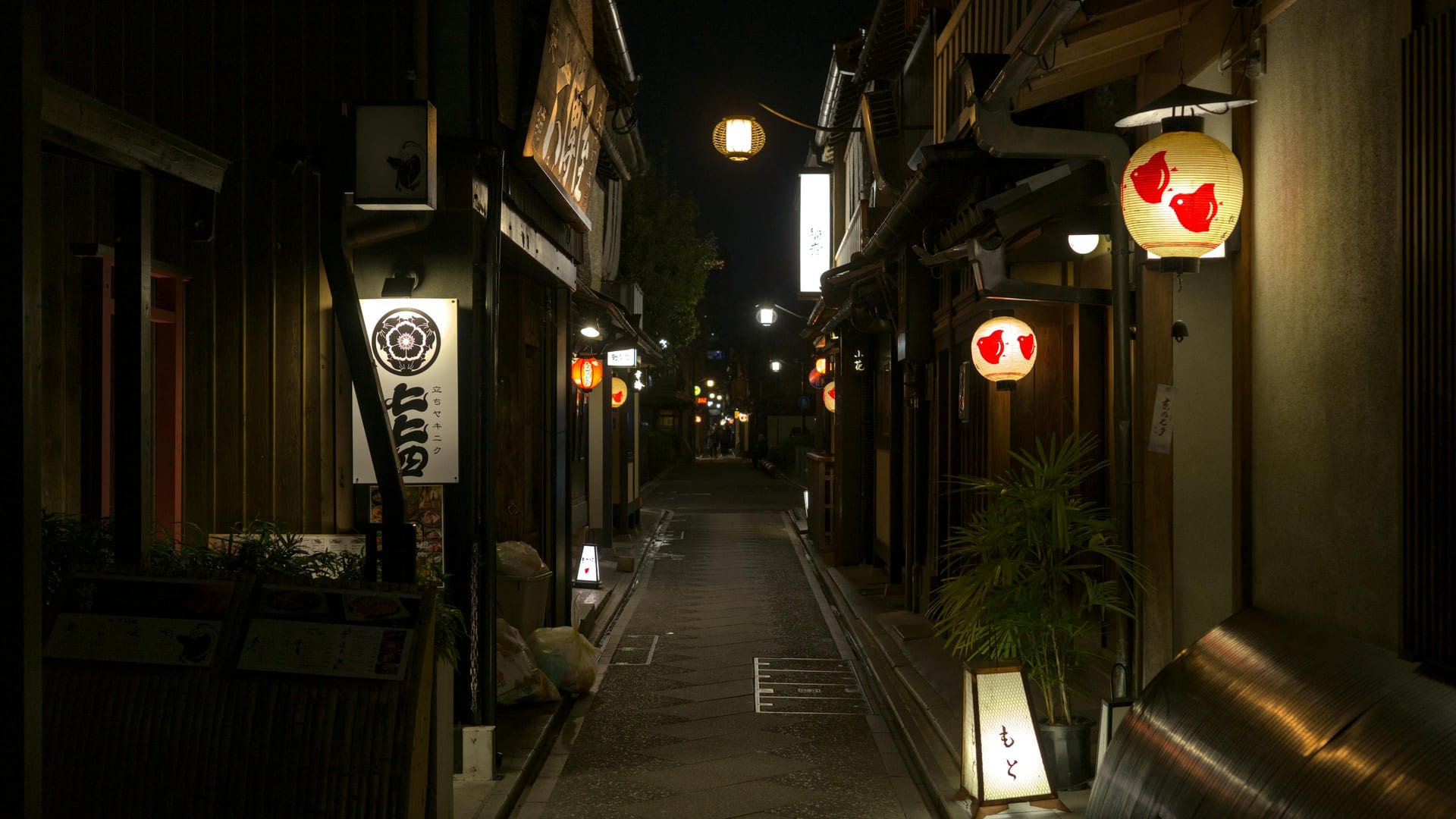 Pontocho alley at night, with paper lanterns printed with red plovers hanging outside the restaurants, Kyoto