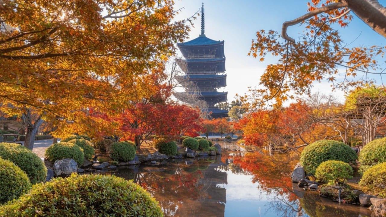 Toji's five-story pagoda above the temple's garden pond in autumn, framed by red and orange maples